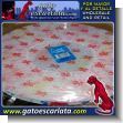 XEN00109: Gorras para Ducha marca Crystal Bath 1x3 - 4175 - Docena al por Mayor