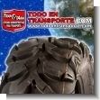 TT21091703: Llanta Radial Trasera para Vehiculo Cuadraciclo marca Wanda Medida 25x10-12: P341 Modelo P341