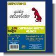 GEPOV091B: Bristol White Cardboard Letter Size brand Buho - Twelve Packs of 100 Sheets Wholesale