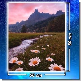 Read full article PVC LABEL 3MM. (50X60CMS) - FULL COLOR