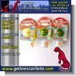 GEPOV368C: Small 2 Ounce Pacifier Bottle Baby Bear brand 12 Bottles